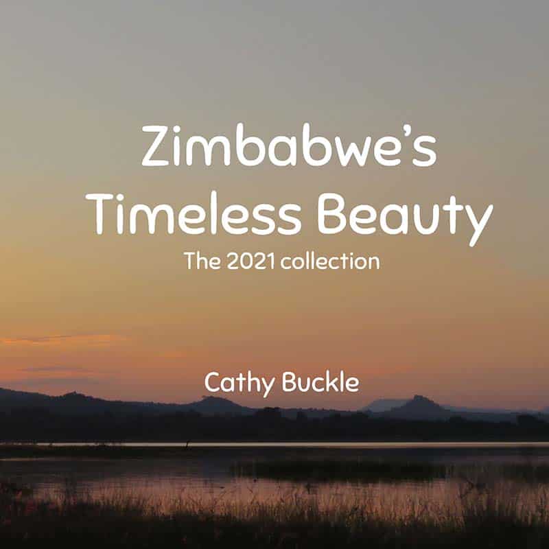 Zimbabwes Timeless Collection 2021 Collection