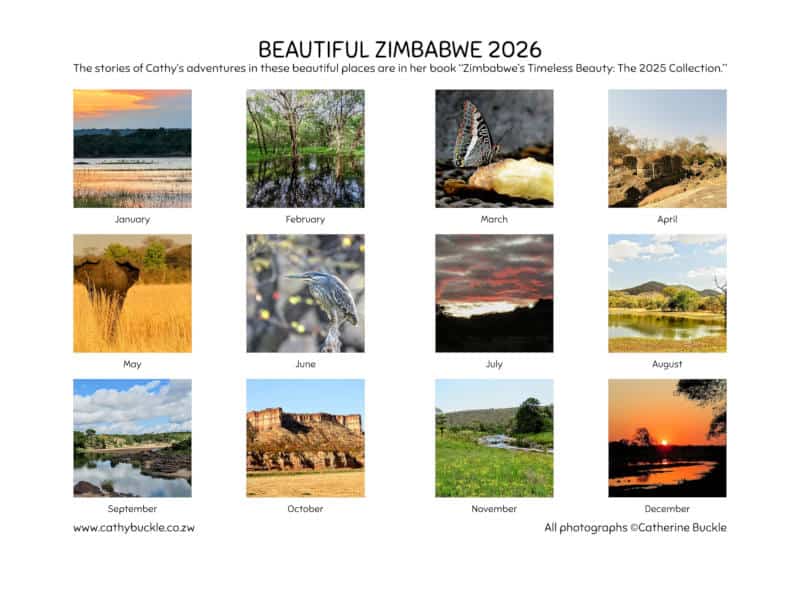 Calendar Back Cover 2026