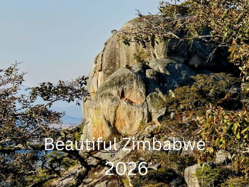Calendar Front Cover 2026