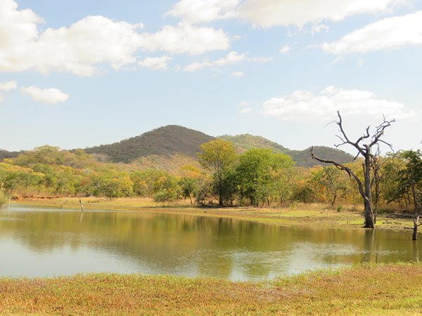 The Timeless Pulse of Africa