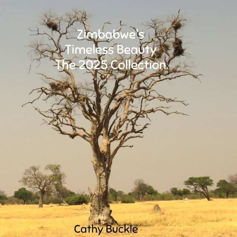 Timeless 2025 Front Cover