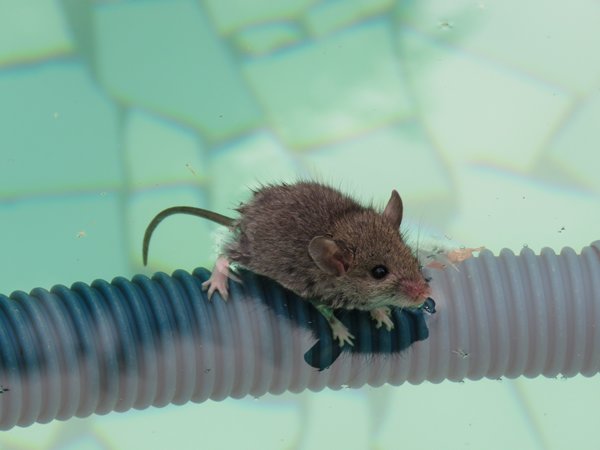 Helping Hands Change Everything