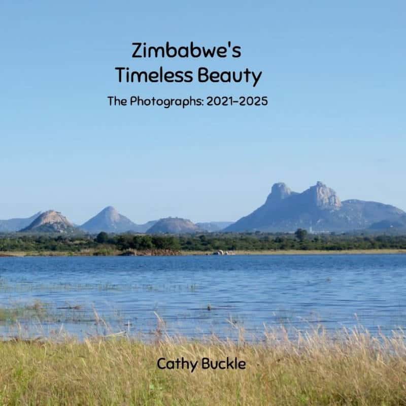 Timeless 2021-2025 Photographs