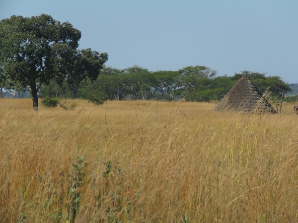 409 Farmers In Zimbabwe, All As Clear As Mud
