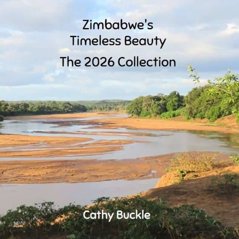 Timeless Beauty The 2026 Collection