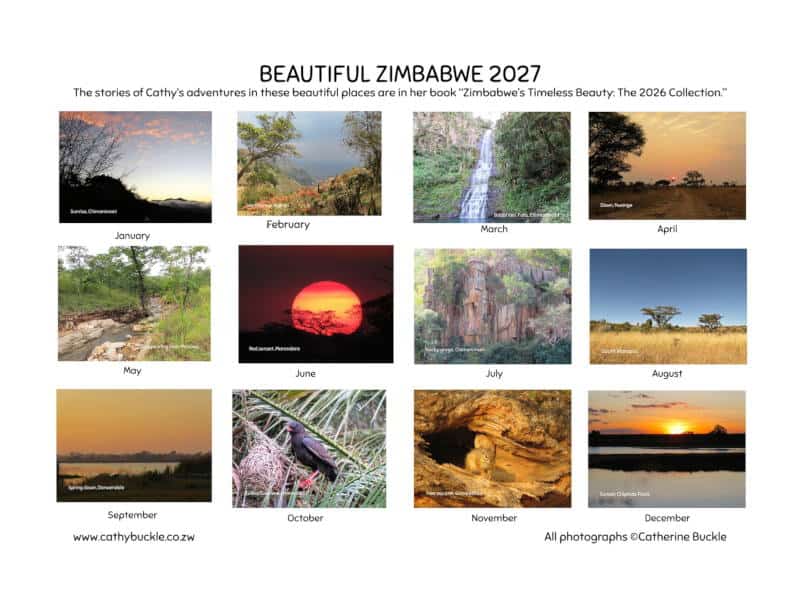 2027 Calendar Back