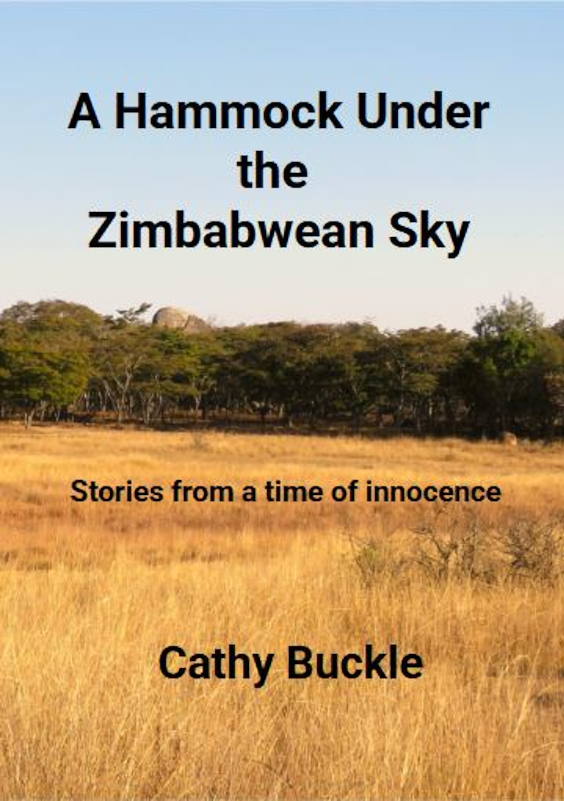 A Hammock Under the Zimbabwean Sky